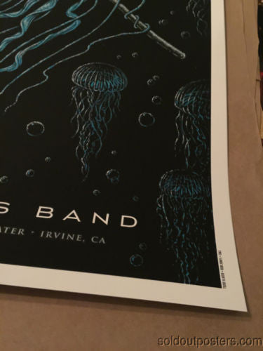Dave Matthews Band - 2014 Todd Slater poster print Irvine, CA Verizon Wireless