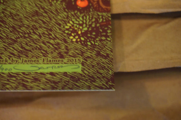 Dave Matthews Band - 2015 James Flames Poster Camden, NJ