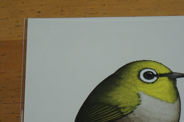 Fat Bird - 2016 Mike Mitchell Japanese White-eye poster/print