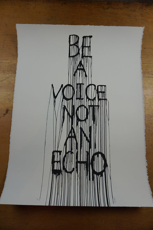 Be A Voice Not An Echo - 2015 Hijack poster street art Brainwash