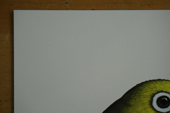 Fat Bird - 2016 Mike Mitchell Japanese White-eye poster/print AP