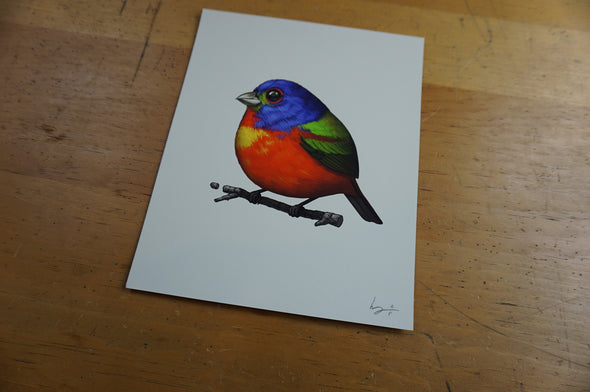 Fat Bird - 2016 Mike Mitchell Painted Bunting poster/print AP