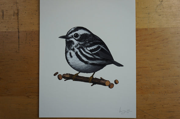 Fat Bird - 2016 Mike Mitchell Warbler Black and White poster/print