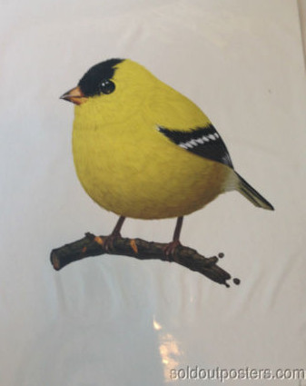Fat Bird - 2014 Mike Mitchell  American Goldfinch poster/print