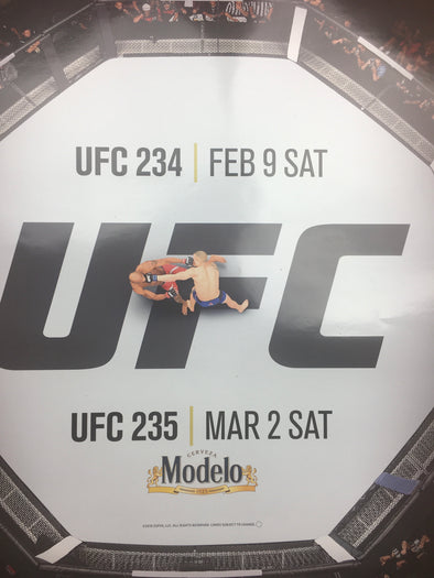 UFC 234 & 235 2019 Poster