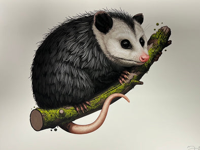 Virginia Opossum - 2018 Mike Mitchell poster art print 1st