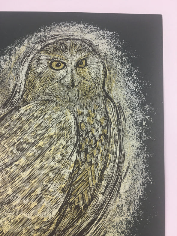 Reconstructed Snowy Owl  - Dan Grzeca Poster Art Print
