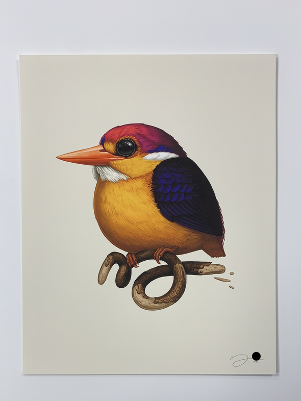 Fat Bird - 2020 Mike Mitchell poster Rufous-Backed Dwarf Kingfisher 1st
