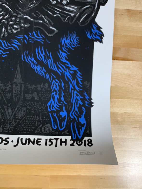 Pearl Jam - 2018 Ames Design poster Landgraaf Pinkpop Geleen