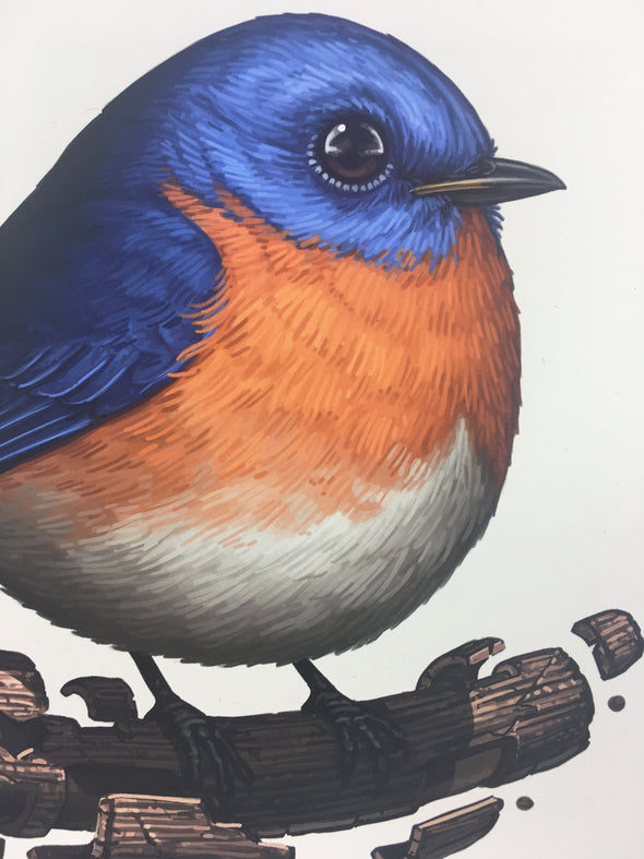 Fat Bird - 2017 Mike Mitchell Eastern Bluebird Art Print