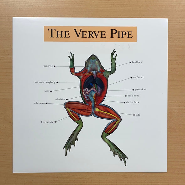 The Verve Pipe - 1999 original vinyl poster insert 12x12 record art