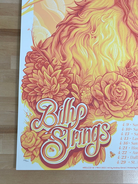 Billy Strings - 2022 Andrew Ghrist poster Spring Tour