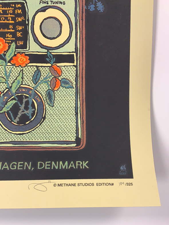 Dave Matthews Band - 2017 Methane poster Copenhagen, Denmark Royal Arena