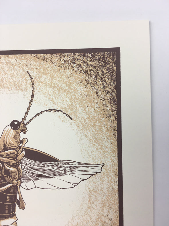 Common firefly (Photinus pyralis) - 2015 Justin Santora Poster Art Print