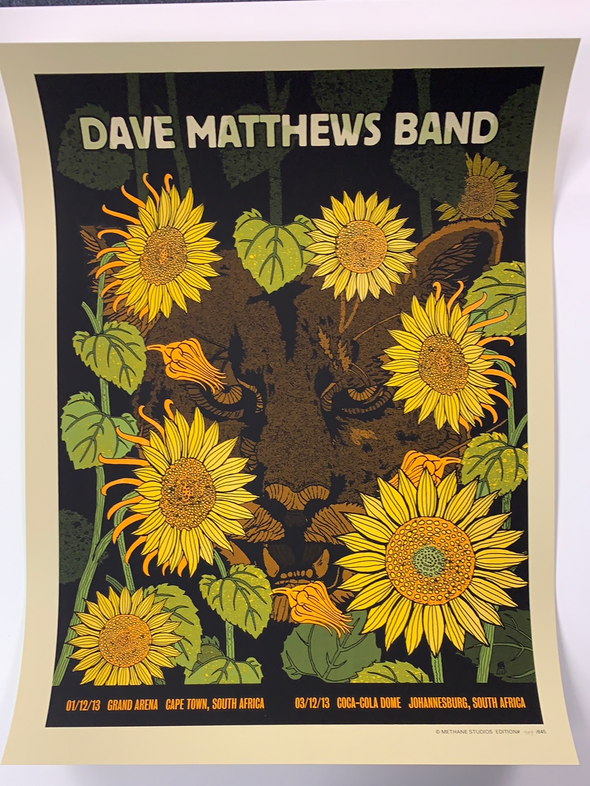 Dave Matthews Band - 2013 Methane poster Cape Town Johannesburg, SA