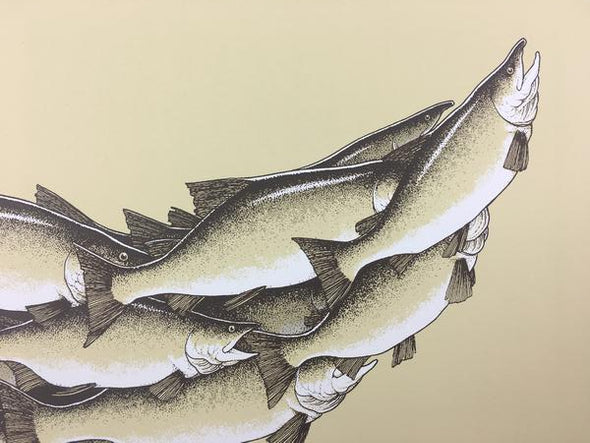 Salmon Run - 2015 Justin Santora Poster Art Print