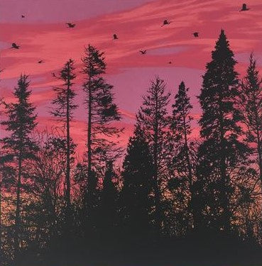 Big Birds Flying Across the Sky - 2011 Dan McCarthy Poster Art Print