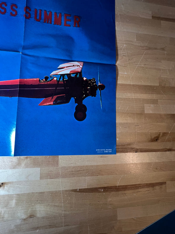 Beach Boys - 1974 Capitol Records Endless Summer original vinyl poster insert 30x20
