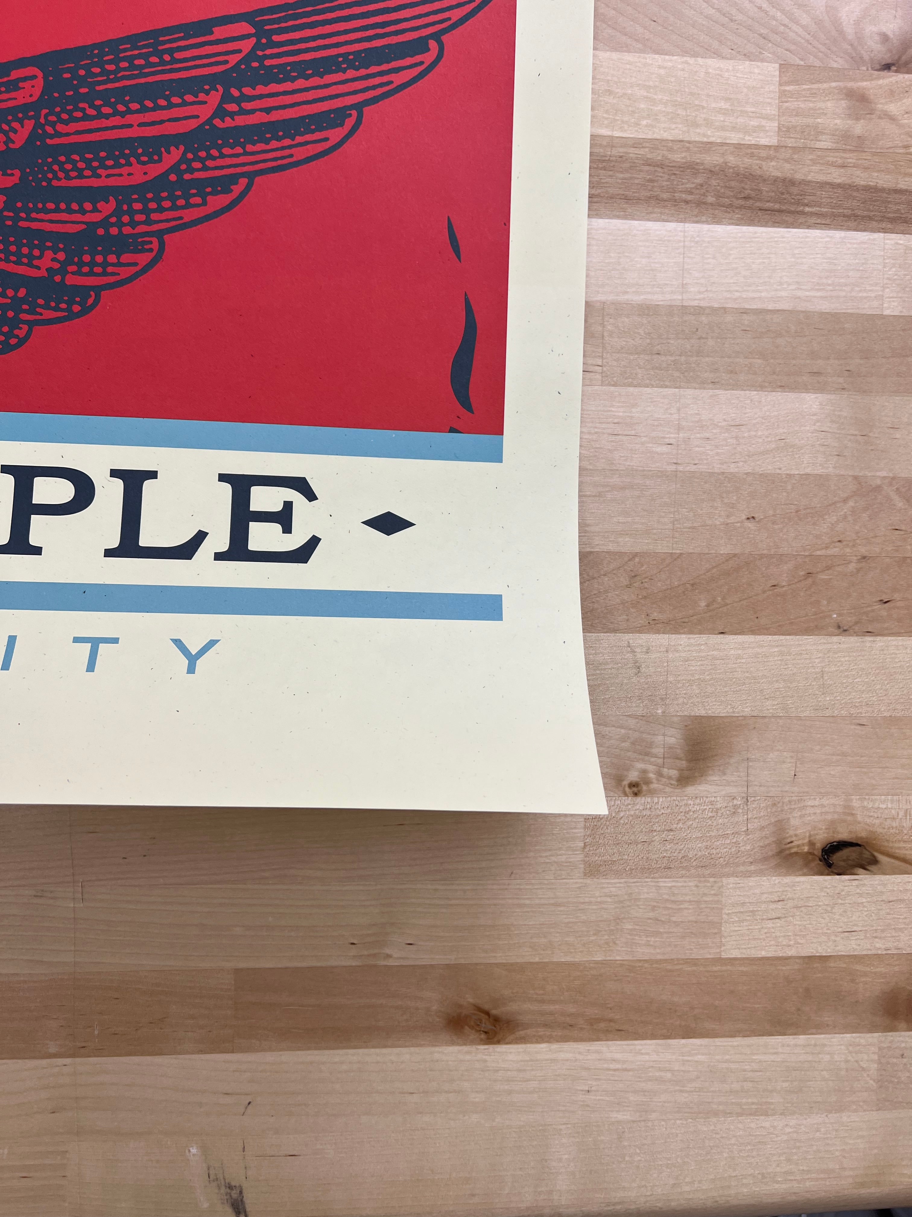 We The People Defend Dignity - 2017 Shepard Fairey poster Obey art pri ...