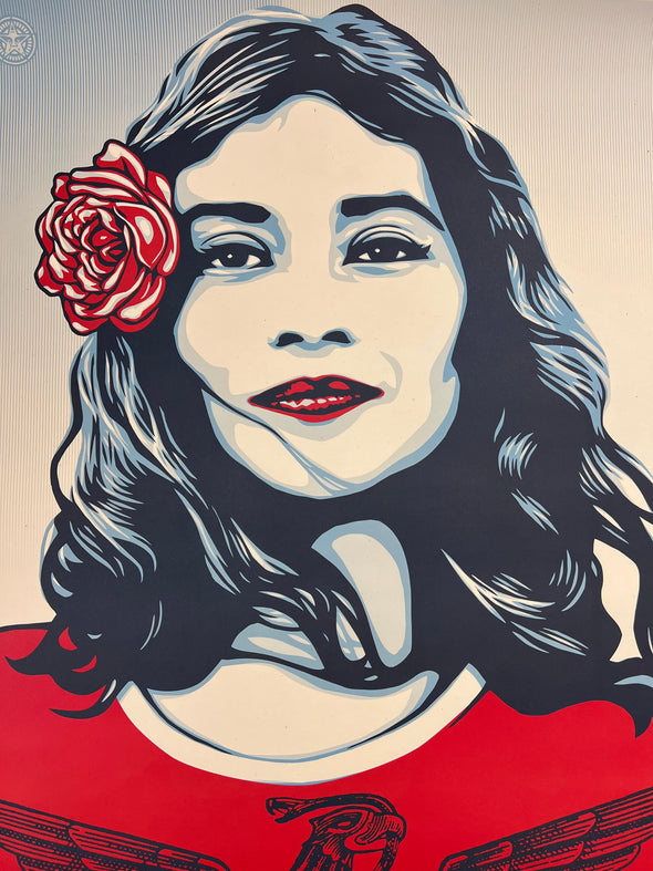 We The People Defend Dignity - 2017 Shepard Fairey poster Obey art print