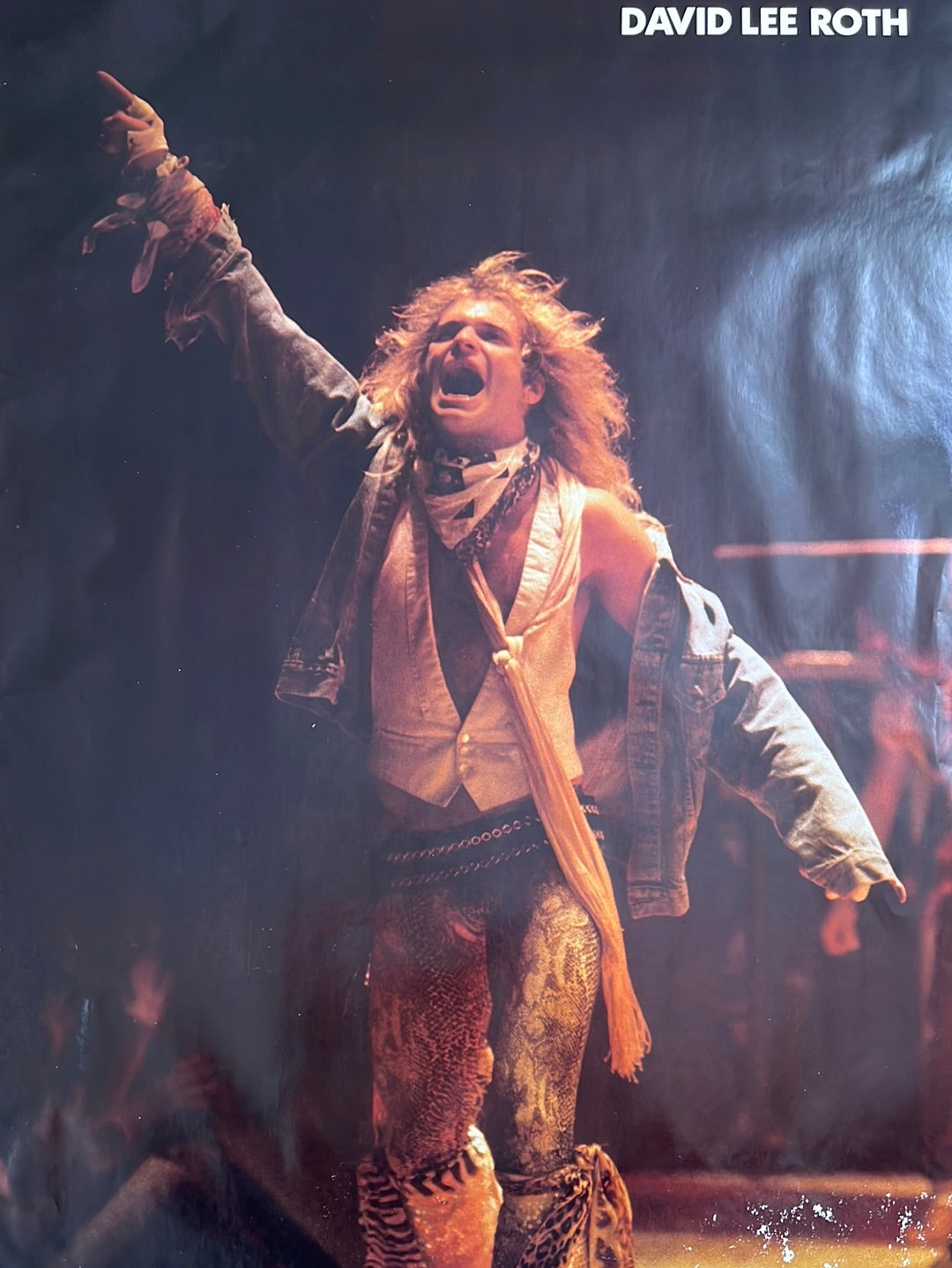 Davidl Roth Rancher David Lee Roth Shirtless Poster
