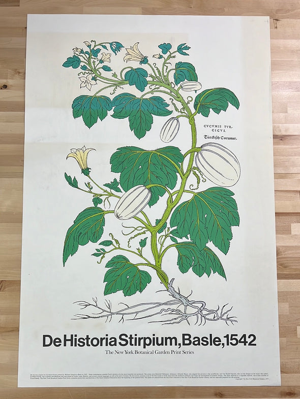 De Historia Stirpium, Basle, 1542 - Heinrich Fullmaurer 1971 print vintage New York Botanical Garden
