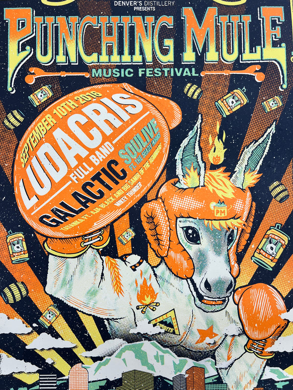 Ludacris - 2016 Poster Denver, CO Punching Mule Music Festival