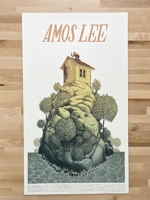 Amos Lee - 2017 Justin Santora Poster Winter Tour