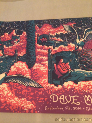 Dave Matthews Band - 2014 James Eads Chula Vista poster print Sleep Train AP