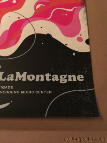 Ray LaMontagne - 2014 Delicious Design poster print Chicago, IL Cincinnati
