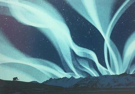 Aurora Borealis - 2011 Dan McCarthy Poster Art Print