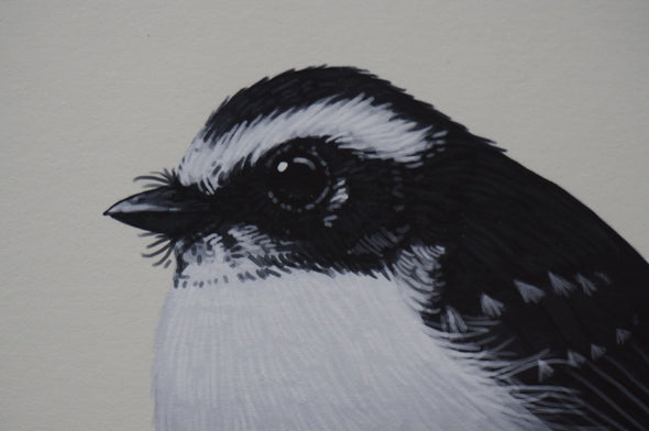 Fat Bird - 2014 Mike Mitchell White-browed Fantail poster/print