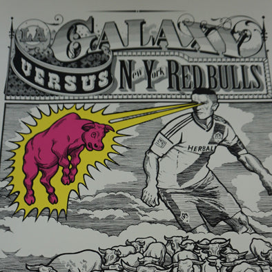 LA Galaxy vs. New York Red Bulls - 2014 poster Ames Brothers