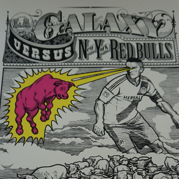 LA Galaxy vs. New York Red Bulls - 2014 poster Ames Brothers