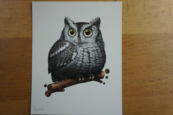 Fat Bird - 2016 Mike Mitchell Eastern Screech Owl poster/print