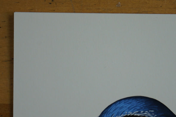 Fat Bird - 2016 Mike Mitchell Western Scrub Jay poster/print