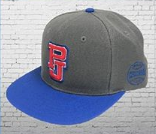 Pearl Jam - 2018 Balk Snapback Hat The Home Away Shows Chicago Wrigley Field