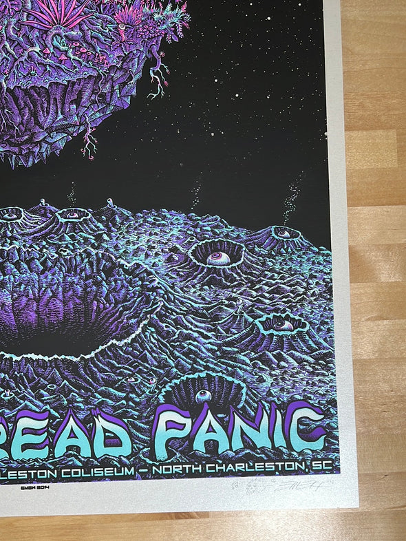 Widespread Panic - 2010 EMEK poster Charleston, SC AP