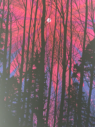 Pink Moon - 2010 Dan McCarthy Poster Art Print