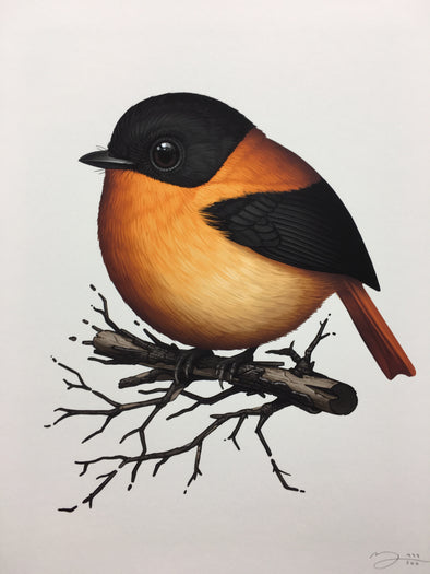 Fat Bird - 2019 Mike Mitchell Black-and-Orange Flycatcher poster/print