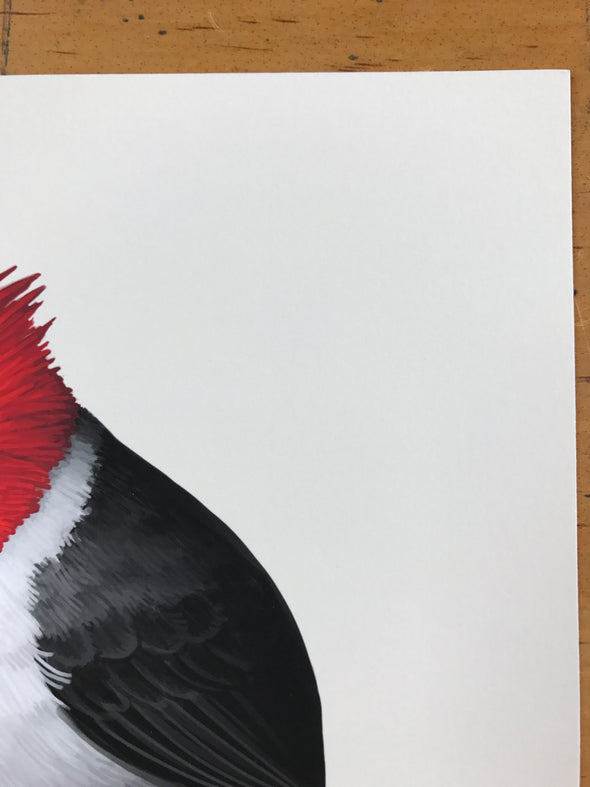 Fat Bird - 2017 Mike Mitchell Red-Crested Cardinal poster AP Signed