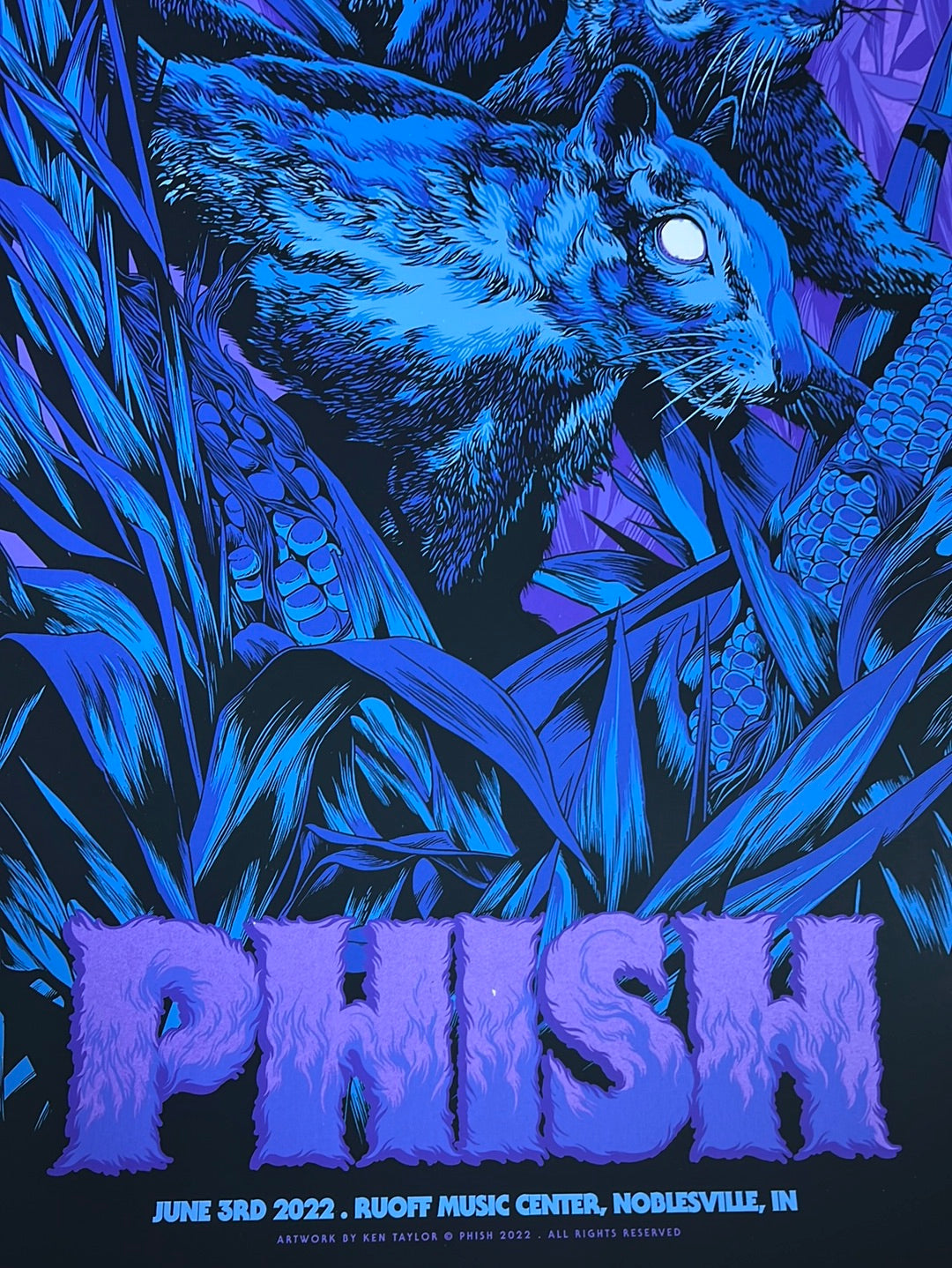 Phish 2022 Ken Taylor poster Noblesville, IN Ruoff N1 Sold Out Posters