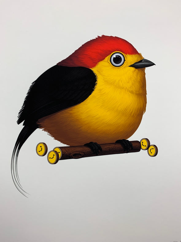 Fat Bird - 2019 Mike Mitchell poster Wire-tailed Manakin 1st
