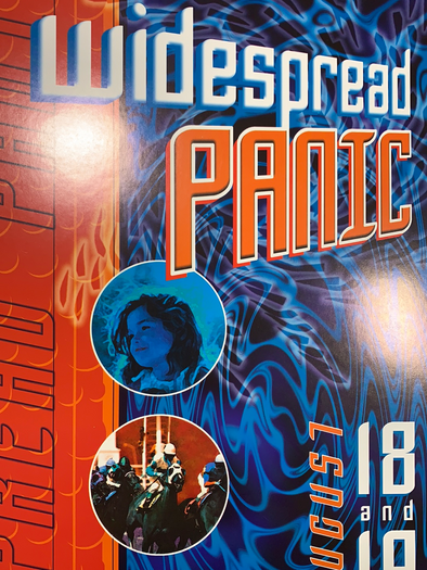 Widespread Panic - 2001 Jason Clements poster Larkspur, CO Field of Dreams