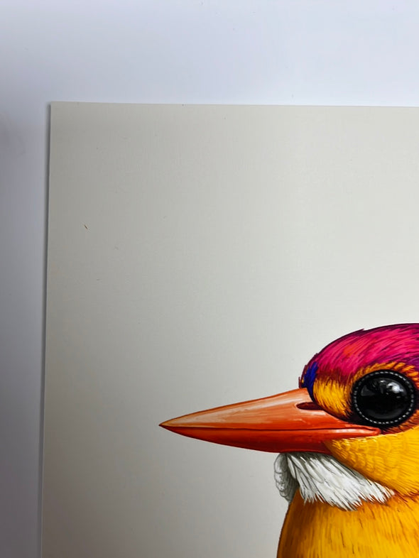 Fat Bird - 2020 Mike Mitchell poster Rufous-Backed Dwarf Kingfisher AP