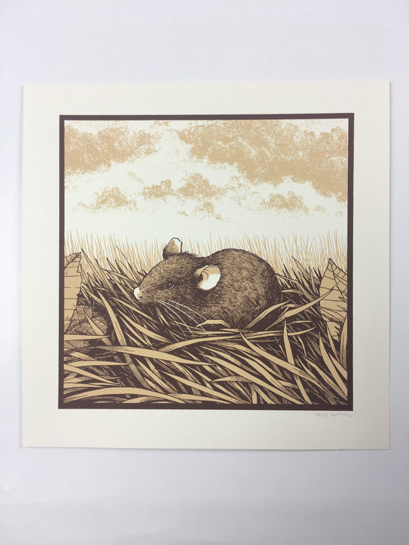 Brown Rat (Rattus norvegicus)  - 2015 Justin Santora Poster Art Print