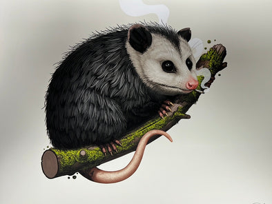 Virginia Opossum - 2018 Mike Mitchell poster art print Variant