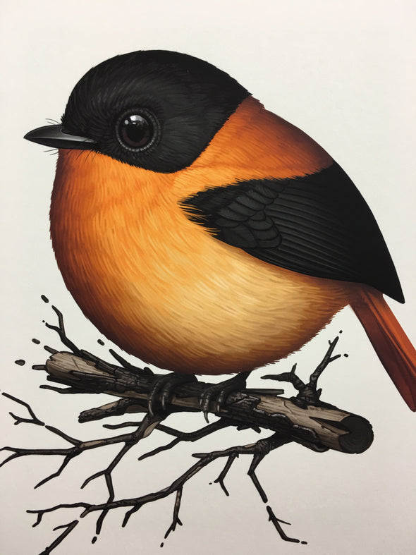 Fat Bird - 2019 Mike Mitchell Black-and-Orange Flycatcher poster/print