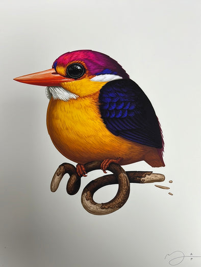 Fat Bird - 2020 Mike Mitchell poster Rufous-Backed Dwarf Kingfisher AP