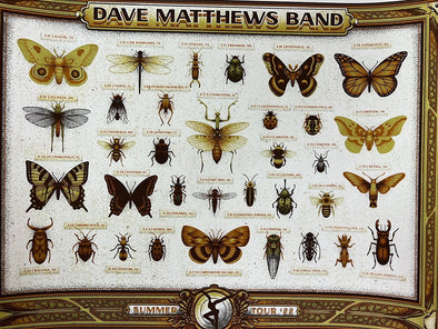 Dave Matthews Band - 2022 Half Hazard poster x/125 variant summer tour